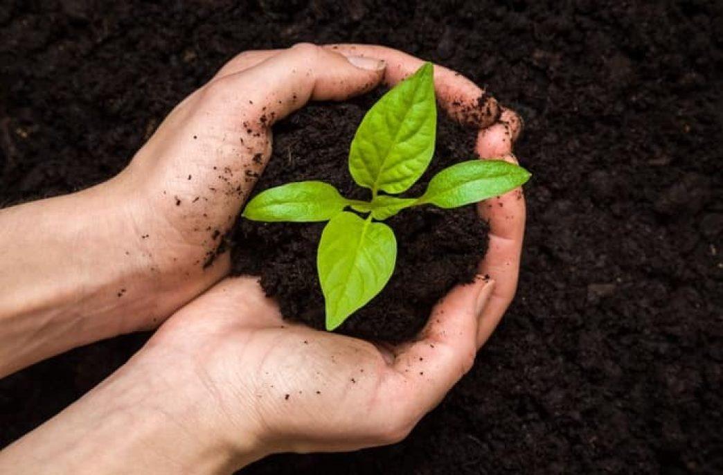 Удобрение органическое купить недорого